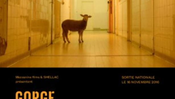 Ein Schaf steht in einem langen, gefliesten Korridor, wie auf einem Filmplakat für „Gorge Coeur Ventre“.