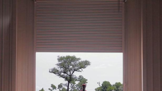 Das Filmplakat für „Das grüne Gold“ zeigt einen Mann vor einer afrikanischen Landschaft.