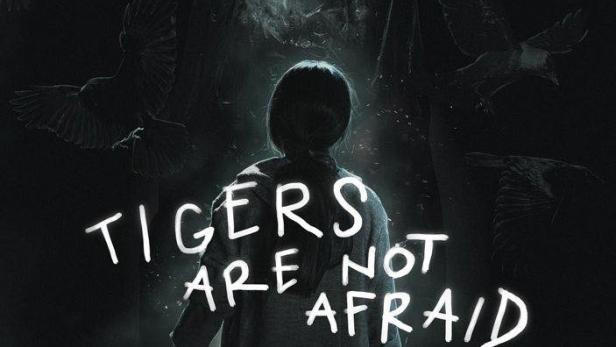 Tigers are not Afraid