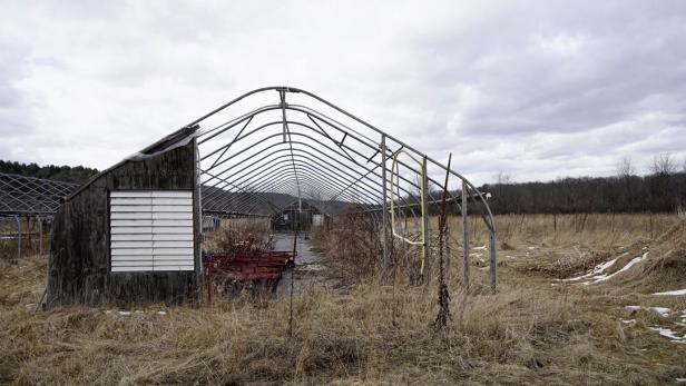 Ein verlassenes Gewächshaus mit rostigen Metallrahmen steht in einem Feld mit trockenem Gras.