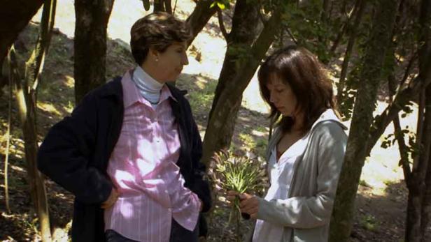 Zwei Frauen stehen in einem Wald, eine hält ein Bündel Pflanzen in der Hand.