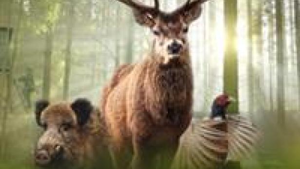 Ein Hirsch, ein Wildschwein und ein Fasan auf dem Filmplakat zu „Halali – Weidwerk Jäger Wild“.