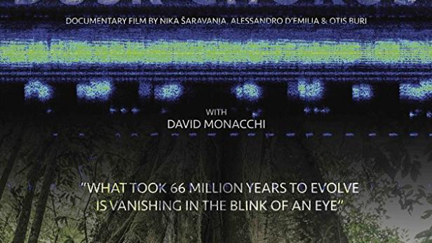 Das Filmplakat für „Dusk Chorus“ zeigt einen Baum im Dschungel und den Titel des Films.