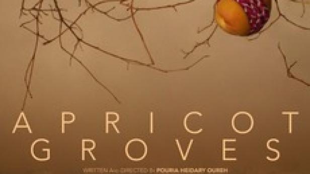 Das Filmplakat für „Apricot Groves“ zeigt einen Aprikosenbaum in einer trockenen Landschaft.