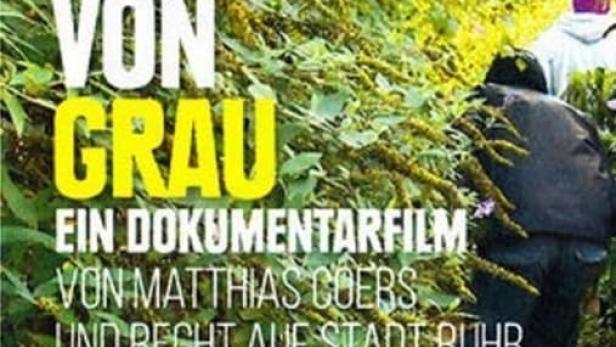 Das Filmplakat für den Dokumentarfilm „Das Gegenteil von Grau“ von Matthias Coers.