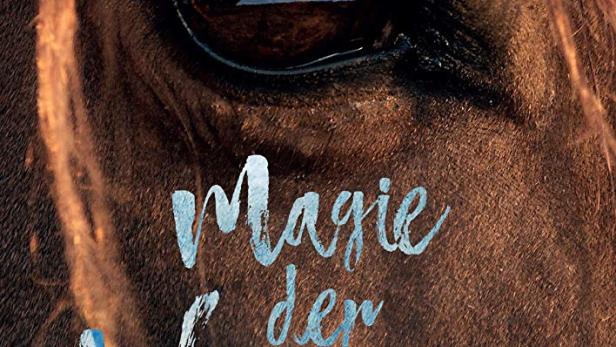 Das Filmplakat zu „Magie der Wildpferde“ zeigt das Auge eines Pferdes, in dem sich eine Landschaft spiegelt.