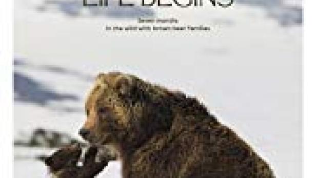 Ein Braunbär und sein Junges im Schnee, vermutlich aus dem Film „Kamchatka Bears. Life Begins“.