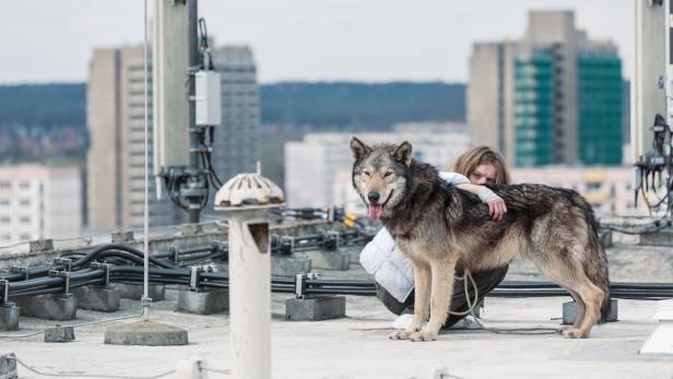 Lillith Stangenberg verliebt sich in einen Wold: „Wild“, aber Freitag im Kino