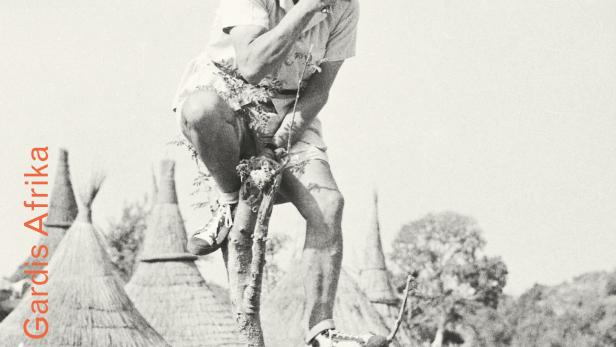 Ein Mann mit Hut steht auf einem Baum und filmt mit einer alten Kamera, Plakat für den Film „African Mirror“.