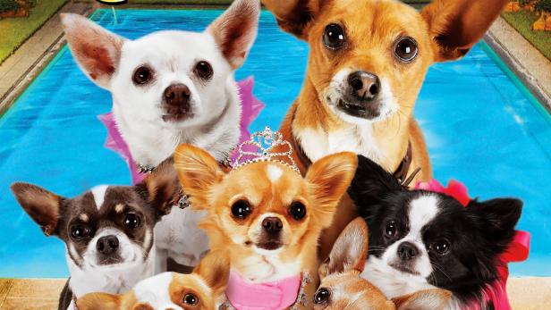 Beverly Hills Chihuahua 3 - Viva La Fiesta!