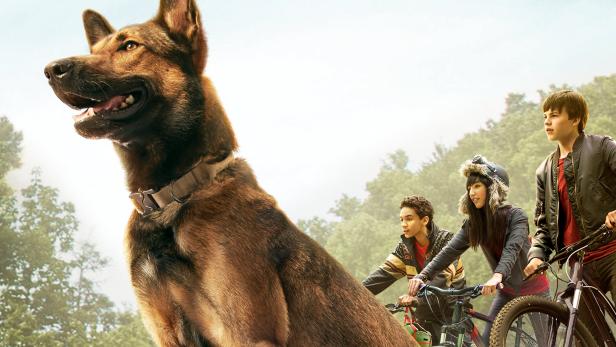 Das Filmplakat für „Max“ zeigt einen Schäferhund und drei Jugendliche auf Fahrrädern.