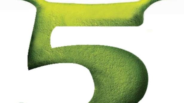 Shrek 5