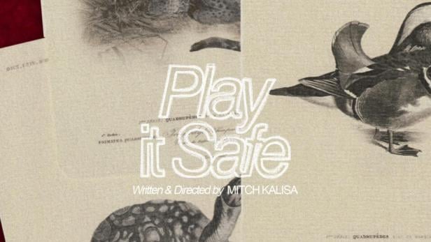 Das Filmplakat zu „Play it Safe“ zeigt Zeichnungen eines Leoparden, einer Ente und einer Schildkröte.