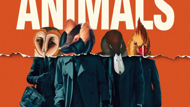 American Animals