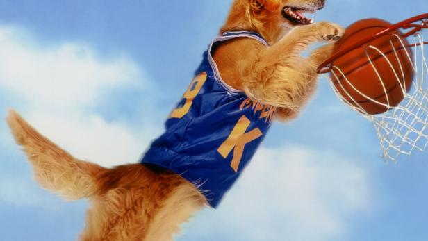 Air Bud - Champion auf vier Pfoten