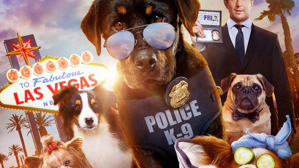 Show Dogs - Agenten auf vier Pfoten