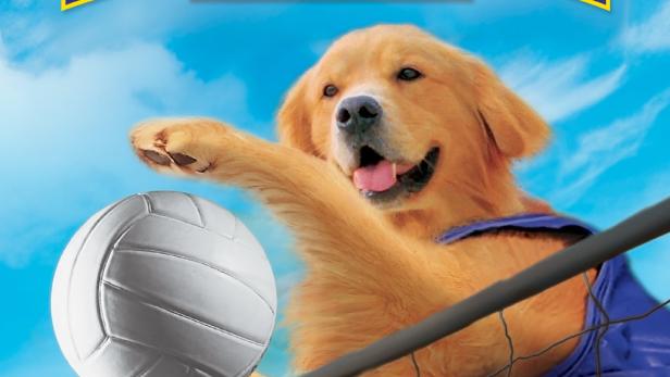 Air Bud 5 - Vier Pfoten schlagen auf