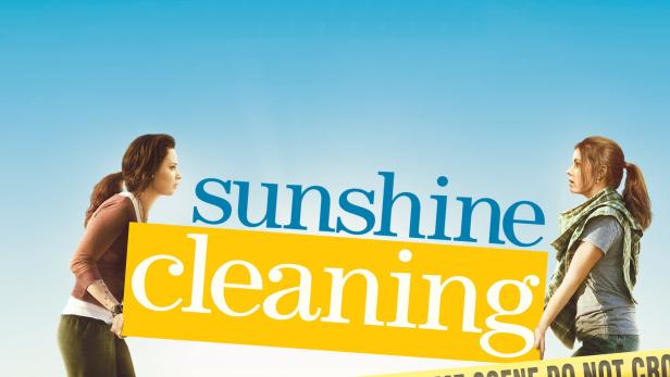 Sunshine Cleaning