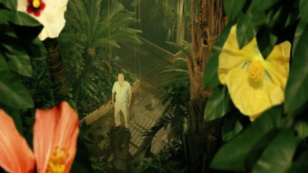 David Attenborough im „Kingdom of Plants 3D“, umgeben von tropischer Vegetation und Hibiskusblüten.