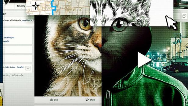 Don't F**k with Cats: Hunting an Internet Killer