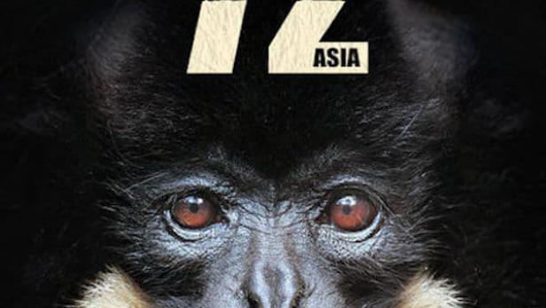 Das Filmplakat für „72 Dangerous Animals: Asia“ auf Netflix zeigt das Gesicht eines Gibbons.