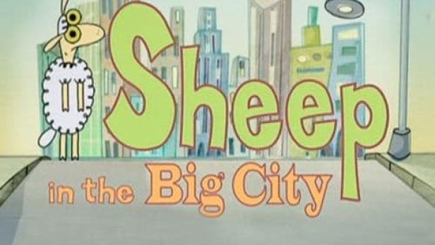 Sheep in the Big City