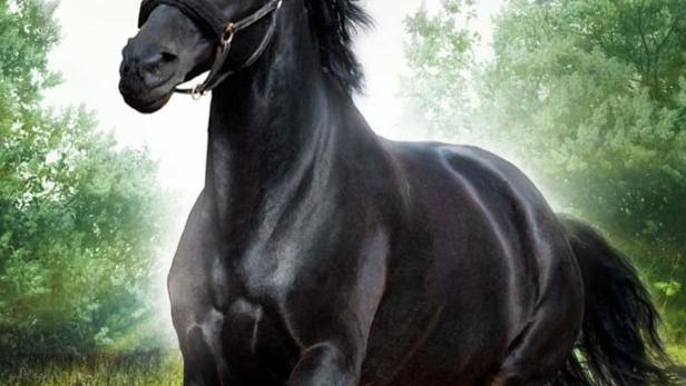 Black Beauty