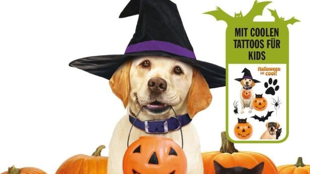 Ein Hund rettet Halloween