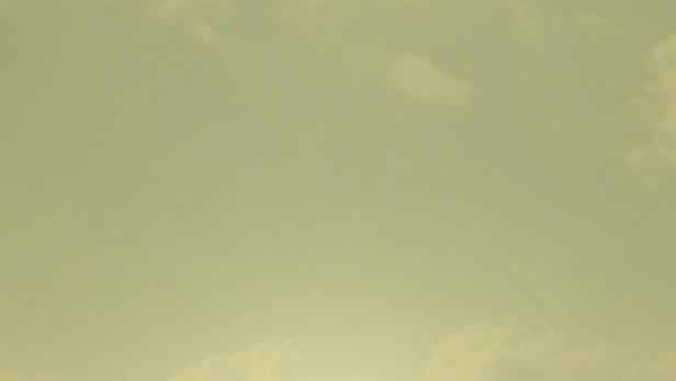 Ein Junge läuft mit einem Eimer durch ein Reisfeld, im Hintergrund der Titel „Tigertail“.