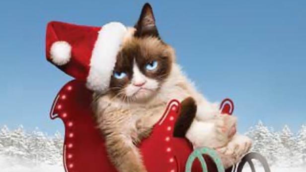 Grumpy Cat's Worst Christmas Ever