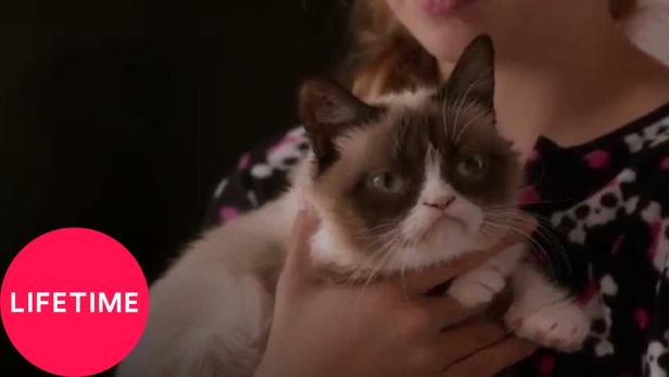 Grumpy Cat's Worst Christmas Ever (TV Movie 2014) - IMDb