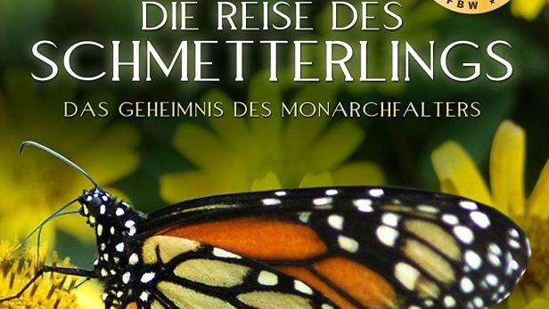 Das Cover des Films „Die Reise des Schmetterlings“ zeigt Monarchfalter vor gelben Blumen.