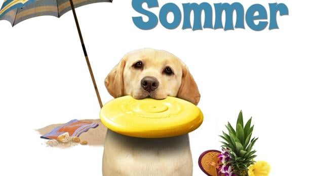 Ein Hund rettet den Sommer