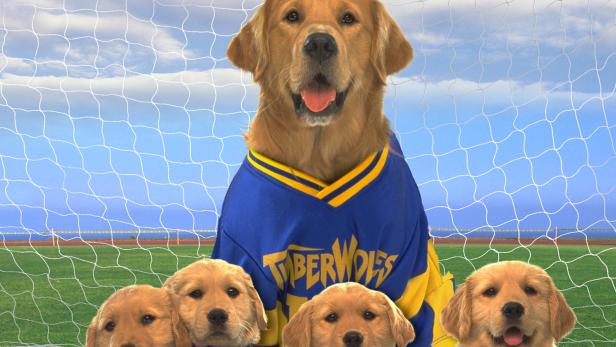 Air Bud 3 – Ein Hund für alle Bälle