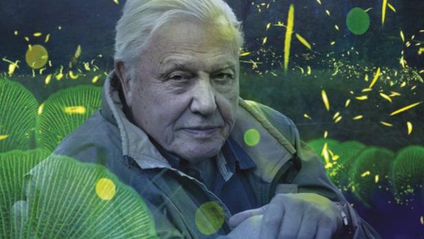 Attenborough's Life That Glows