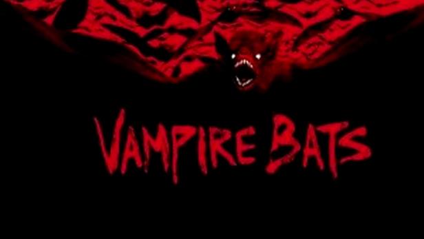 Vampire Bats