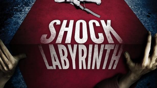 Schock Labyrinth 3D