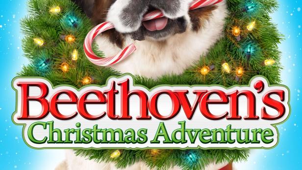 Beethovens abenteuerliche Weihnachten