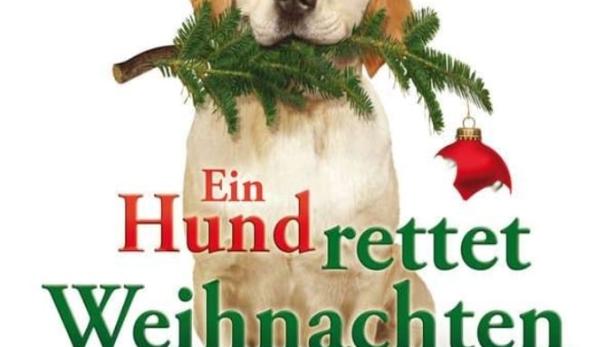 Ein Hund rettet Weihnachten