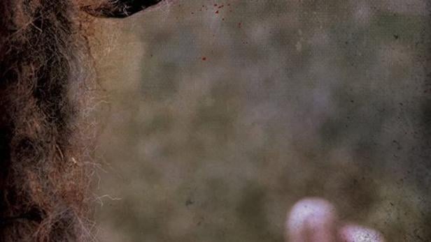 Boggy Creek - Das Bigfoot Massaker