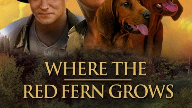 Das Filmplakat für „Where the Red Fern Grows“ zeigt zwei Jungen und zwei Hunde vor einem Sonnenuntergang.
