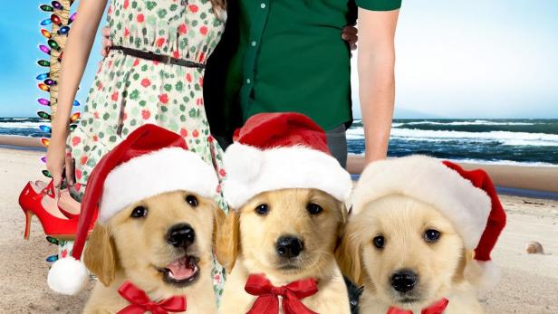 Das Filmplakat für „Und wieder eine tierische Bescherung“ zeigt Julie Gonzalo, KC Clyde und drei Golden Retriever mit Weihnachtsmützen am Strand.