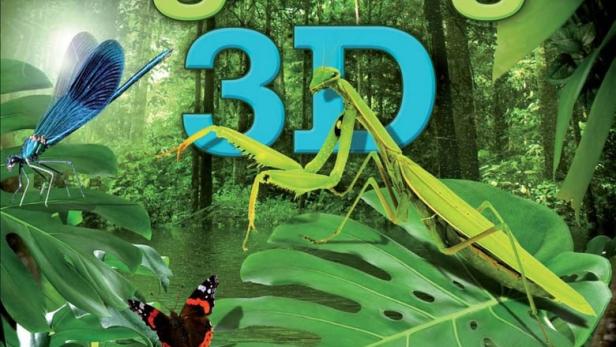 Big Bugs 3D