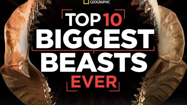 Top 10 Biggest Beasts Ever