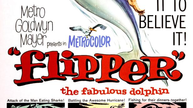 Flipper