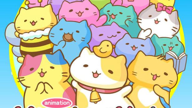 みっちりねこ