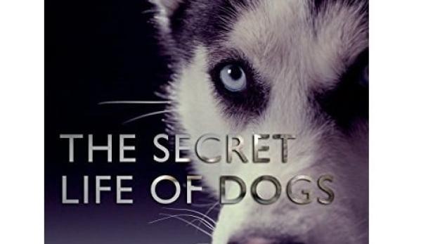 Secret Life of Dogs