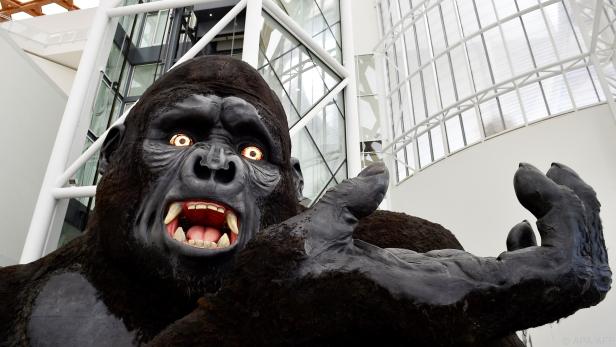 King Kong hat den Coronarekord in seinen Händen