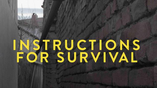 Das Filmplakat für „Instructions for Survival“ zeigt eine Gasse zwischen zwei Backsteinmauern.