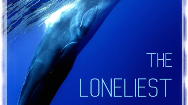 The Loneliest Whale: The Search for 52